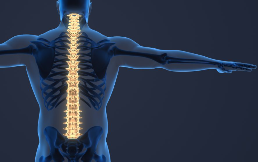 Enhancing Wellness Through Spinal Health