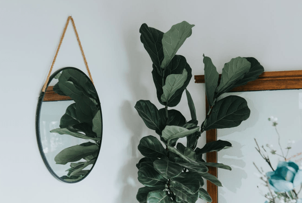 How to Safely Hang Heavy Mirrors in Melbourne Without Damaging Walls